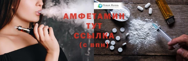 индика Балабаново