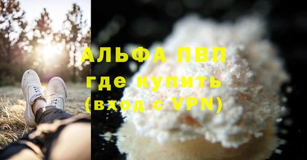 индика Балабаново
