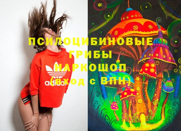 гидра Баксан