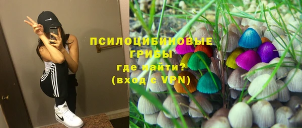 гидра Баксан