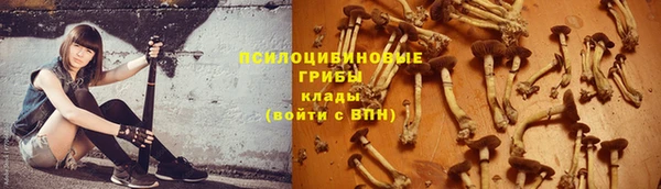 apvp Балахна